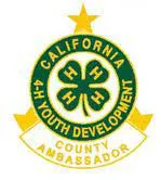 County Ambassador Pin
