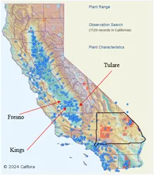 Figure 3. Silverleaf nightshade (Solanum elaeagnifolium) CA Distribution Map. The blue dots show the distribution of Silverleaf nightshade in California. CALFLORA 2024