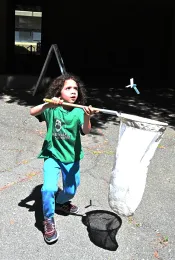 Aren Natarajan, 6, of Davis prepares to net a paper butterfly. (Photo by Kathy Keatley Garvey)