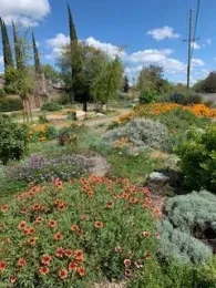 Pathway through colorful flowering plants.