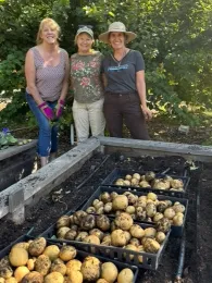 Potato harvest. Photo by Lisa Putnam.