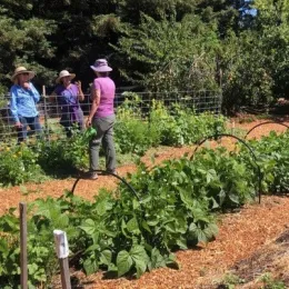 Photo by Lisa Putnam