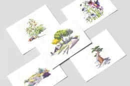 five illustrated Thank You cards