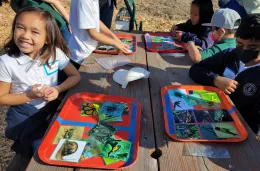 Students sorting illustrated cards of beneficial and pest insects at a picnic table outdoors, with a girl smiling in the foreground.