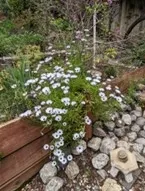 photo by Michelle Krespi