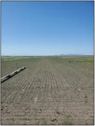 Screenshot 2024-06-07 at 5.49.59 PM