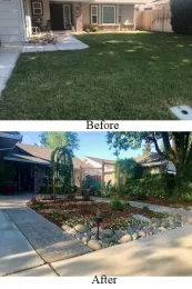 Feature 2 - Phibbs Pic 1