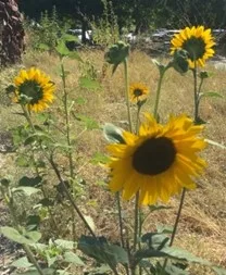 photos by Lorie Hammond