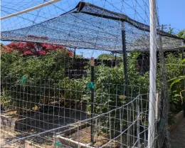 Shade Cloth, Tim Long.