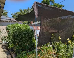 Shade Cloth, Tim Long.