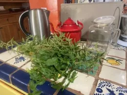 photos by Lorie Hammond