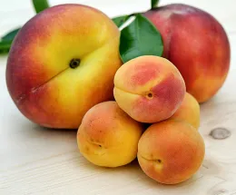 Stone Fruit