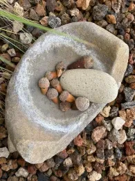 Mortor and pestle with acorns.