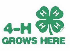 4h grows here
