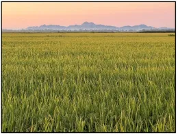 Screenshot 2024-11-19 at 8.25.10?PM