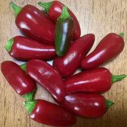 A pile of red peppers with one green pepper among them, on a wooden surface.