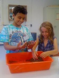 Michelle Monheit and brother Christopher checking out the bees from the Eric Mussen-Susan Monheit bee research project.