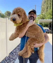 Chris Pagan with his dog Kikka. She is named after the Japanese word for chrysanthemum.