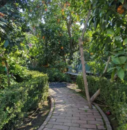 graham garden sgt 2025