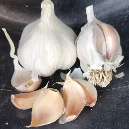 A group of garlic bulbs and cloves on a dark surface, featuring two peeled cloves and two whole bulbs with white skins.