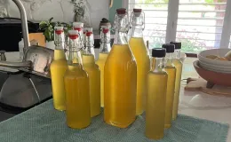 Photo of limoncello in various sized bottles.