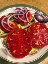 Photo of a tomato sandwich.