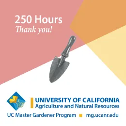 250 hours trowel pin