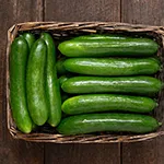 Cucumber_Persian Green Finger_highmowingseeds_com