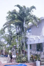 Dypsis blackii with Larry Black, cultivated at the Black residence, Fountain Valley, California. © 2022 D. R. Hodel.