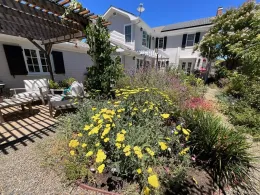 landscape after lawn removal