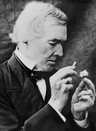 August Heinrich Rudolf Grisebach (1814–1879). © GOET Herbarium.