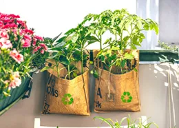 Grow bags offer mobility and ease of use- Courtesy Shutterstock_350_250px.jpg