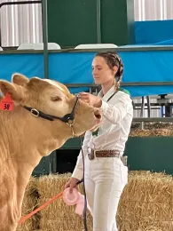 4-H showing animals