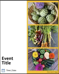 Event promotion graphic template