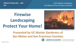 Firewise landscaping presentation