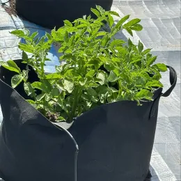 Grow bag container