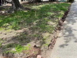 Trench at the edge of sheet mulch area to contain mulch