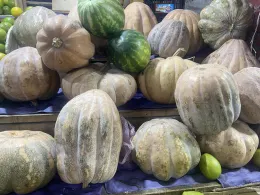 Photo of a group of pumkins.