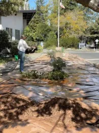 How to sheet mulch with cardboard