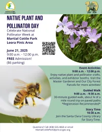 Native plant and a flying Bee