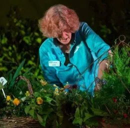 Expert tips for growing a home garden in pots and containers