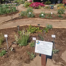 native plant garden at GOS