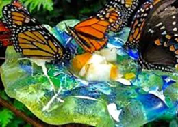 Pollinator Watering Hole