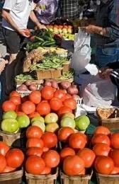 Find UC Master Gardeners at Farmers Markets in Sonoma County
