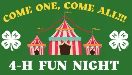 Fun Night