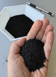 Sample of biochar made from almond shells (photo by author)