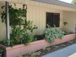 Photo of finished planter.