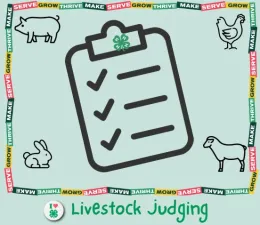 Livestock Judging