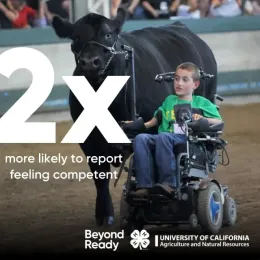 Youth using a motorized wheelchair guiding a black cow in a show ring, with text ‘2x more likely to report feeling competent’ and 4-H Beyond Ready logo.