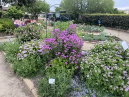 Garden of Sun garden bed